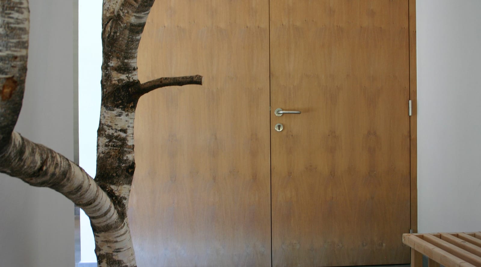 Holztür mit Birkenstamm-Deko – MONTAFONLodge